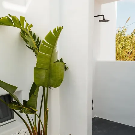 Ama Villa Plaka (Naxos)
