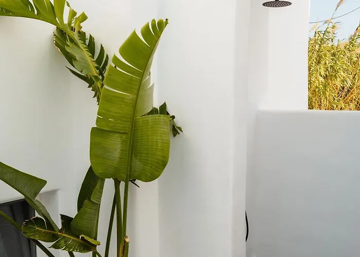 Ama Villa Plaka (Naxos)