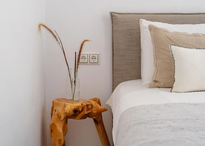 Ama Villa Plaka (Naxos)